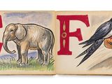 une image représentant un livre sur lequel figurent l'illustration d'un oiseau et un oiseau