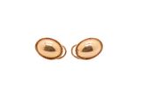 a close up of a pair of gold earrings on a white background