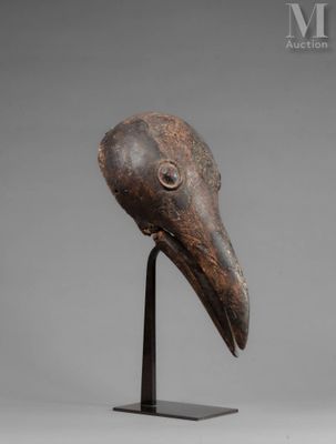 a close up of a bird ' s head on a metal stand