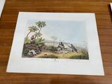 an image of a painting of a group of birds on a table