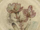 a plate with a painting of flowers on it