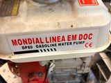 Photo 3/3 du lot