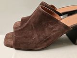 brown sued mules with wooden heel and wooden heel