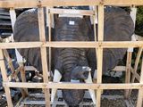 an elephant that is standing in a cage