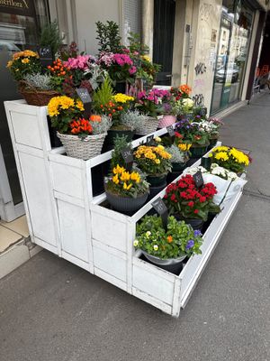 many different types of flowers in the planters on the sidewalk