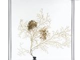 a picture of a vase with a plant inside of it