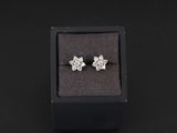 une photo d'une paire de boucles d'oreilles en diamant dans un écrin noir