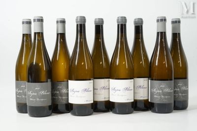 six bouteilles de vin sont alignées sur une surface blanche
