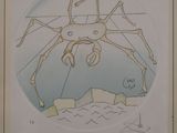 dessin d'une araignée dans un cercle sur fond blanc