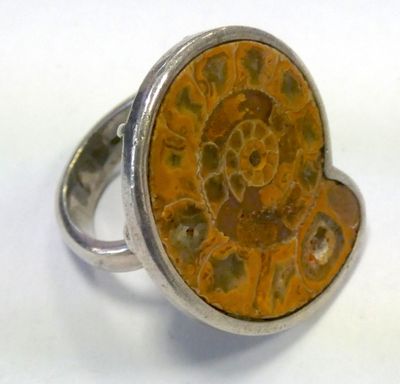 an image of a silver ring with a yellow fossil stone in the center
