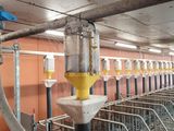une grande pièce dans laquelle se trouvent plusieurs vaches