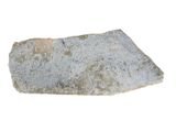 a large rock that is sitting on a white surface