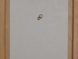 an image of a picture of a painting with a ring on it