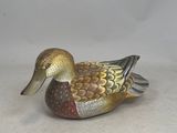 un canard assis par terre sur un fond blanc