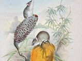 painting of a couple of birds sitting on top of a pumpkin
