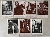 plusieurs vieilles photographies en noir et blanc représentant des hommes et des femmes dans les bois