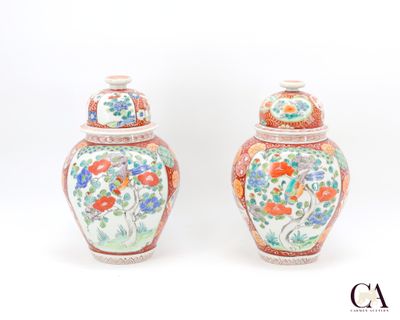 paire de vases chinois à motifs floraux sur fond blanc