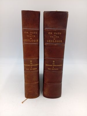 deux vieux livres reliés en cuir posés l'un sur l'autre sur une surface blanche