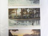 three pictures of people rowing on a lake at sunset