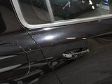 an image of a car door handle with a dog sticking out of it