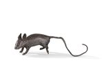 Photo 1/1 du lot