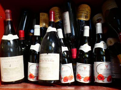 de nombreuses bouteilles de vin alignées sur une étagère