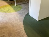 brightly colored carpeting in an office space with desks and computers