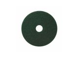 a close up of a green polish pad on a white background