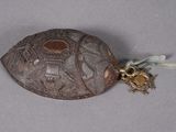 une tortue avec un scarabée doré sur le dos