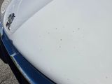 a close up of a white car with a broken hood