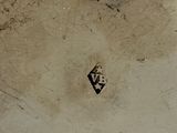 a small bird that is standing in the dirt