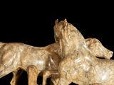 two horses that are standing next to each other