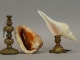 a shell and a candle on a table