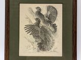 un vieux dessin représentant un oiseau aux ailes déployées dans les airs
