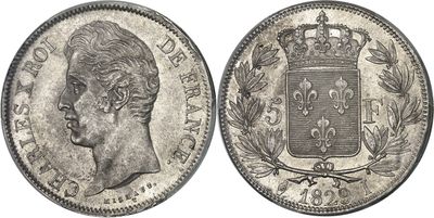 a silver coin with a crown on top of it