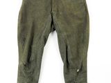 an image of a pair of pants with buttons on them