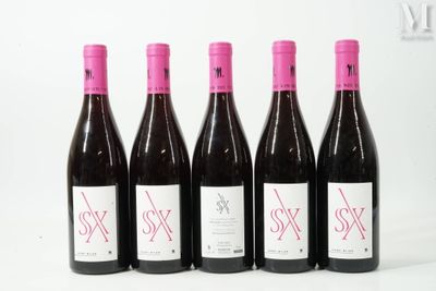 six bouteilles de vin sont alignées sur une surface blanche
