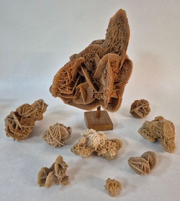 Importante rose des sables montée sur un socle.