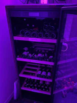 many bottles of wine in a wine cooler under a purple light