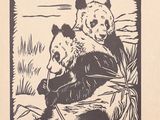 dessin représentant deux pandas assis sur une bûche dans l'herbe
