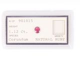 an image of a single ruby stone in a clear plastic container