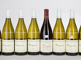 six bouteilles de vin sont alignées sur une table