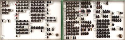 two pictures of a display case filled with different types of hair