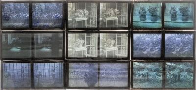 Ensemble de neuf plaques diapositives contenues dans une boi…