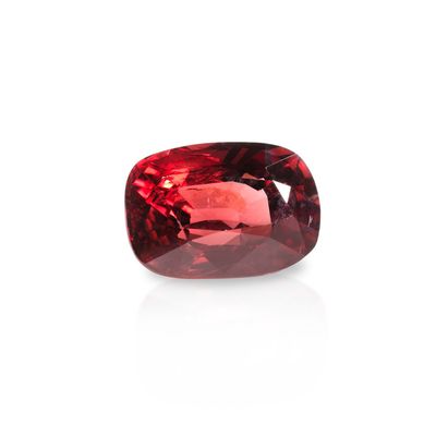 une épine rouge épine épine épine épine épine épine épine épine épine épine épine épine épine épine épine épine épine épine épine épine épine épine épine épine épine épine épine épine épine épine épine épine épine épine épine épine épine épine épine épine épine épine épine épine épine épine épine épine épine épine épine épine épine épine épine épine épine épine épine épine épine épine épine épine épine épine épine épine épine épine épine épine épine épine épine épine épine épine
