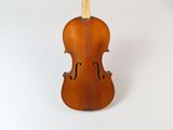 un gros plan d'une personne tenant un violon sur fond blanc