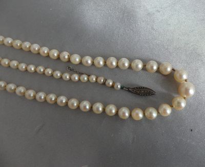 deux rangs de perles blanches avec un fermoir en argent sur un support en argent