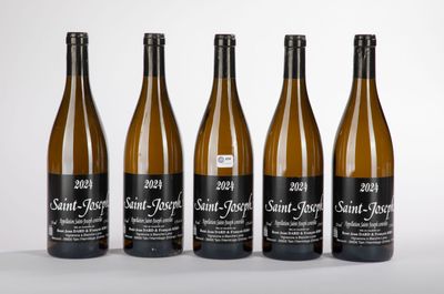 six bouteilles de vin sont alignées sur une surface blanche
