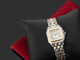 une montre en argent et en or posée sur un coussin noir