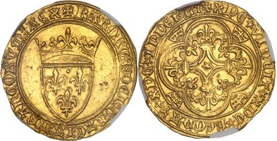 a gold coin with a crown and shield on it